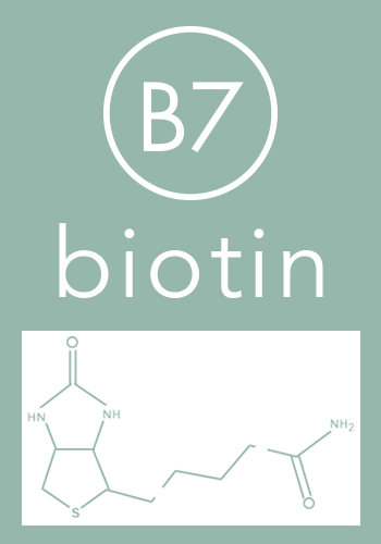 Biotin - Vitamin B7 - healthy hair growth - Hair Vitalics supplement by The Belgravia Centre